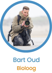 Bart